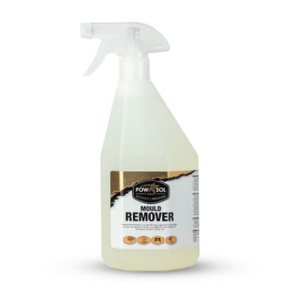 Picture of 750ml Mould Remover